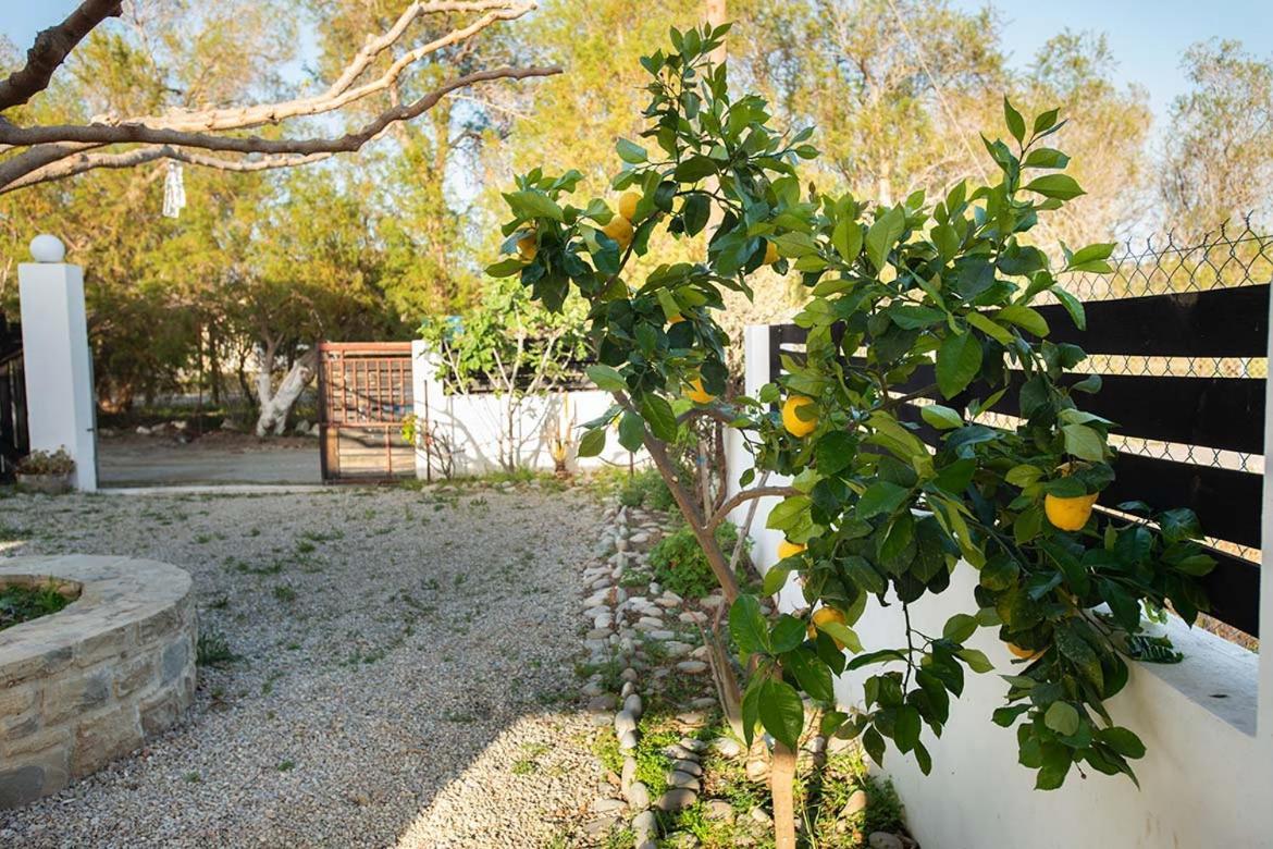 Afrathias Beachhouse - Cretan Hideaway Kalamaki  Exterior foto